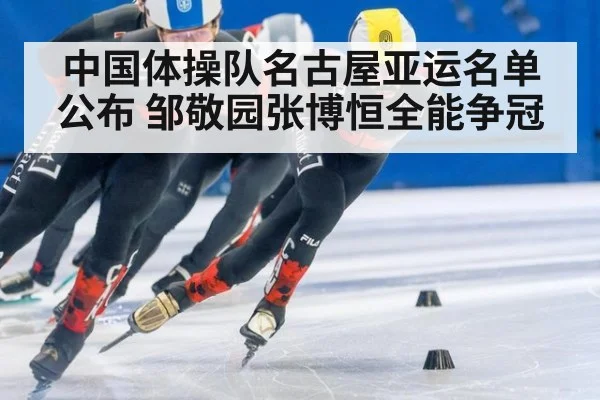 中国体操队名古屋亚运名单公布 邹敬园张博恒全能争冠 | nine game