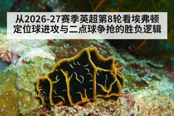 从2026-27赛季英超第8轮看埃弗顿定位球进攻与二点球争抢的胜负逻辑 - nine game