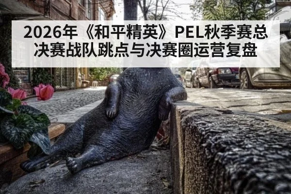 2026年《和平精英》PEL秋季赛总决赛战队跳点与决赛圈运营复盘 - nine game