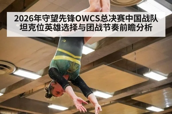 2026年守望先锋OWCS总决赛中国战队坦克位英雄选择与团战节奏前瞻分析